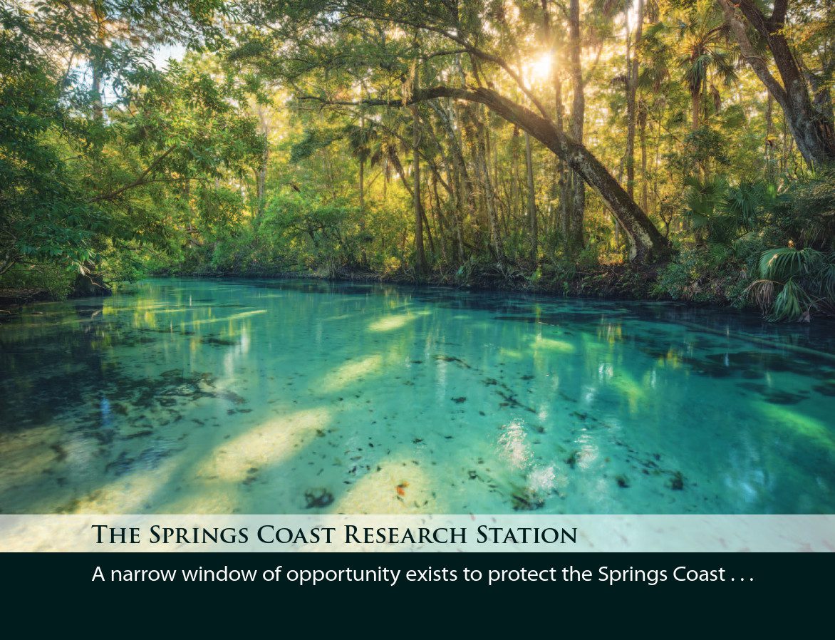 SpringCoastResearchStationCover