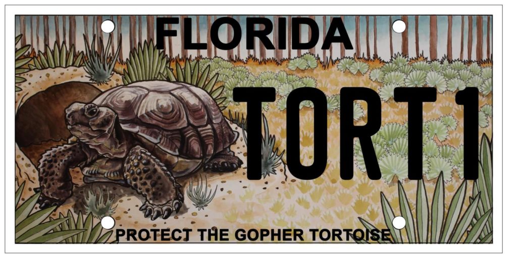 Gopher Tortoise License Plate