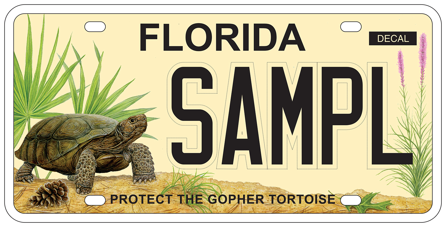 Gopher Tortoise License Plate